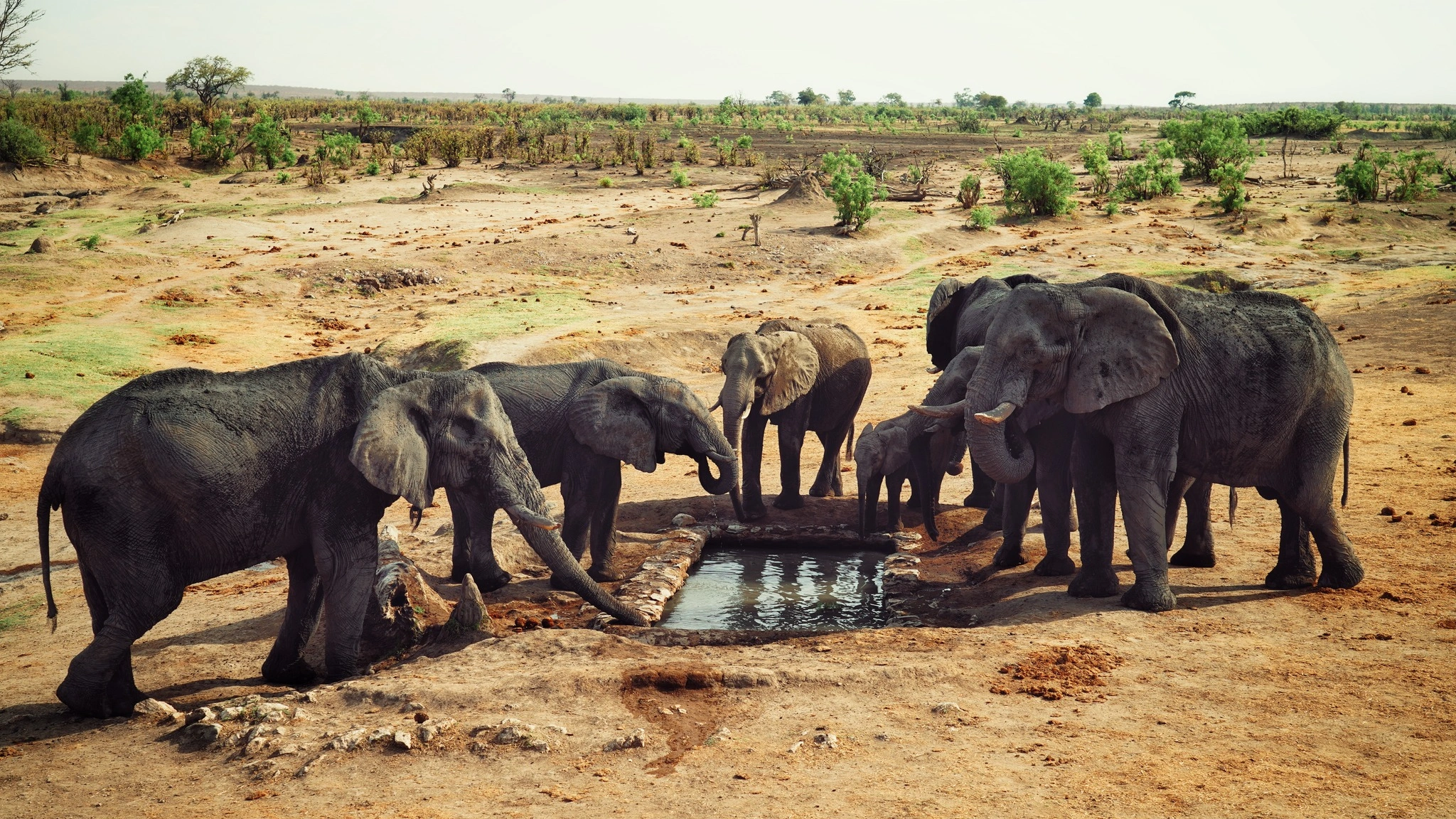 Park Narodowy Hwange