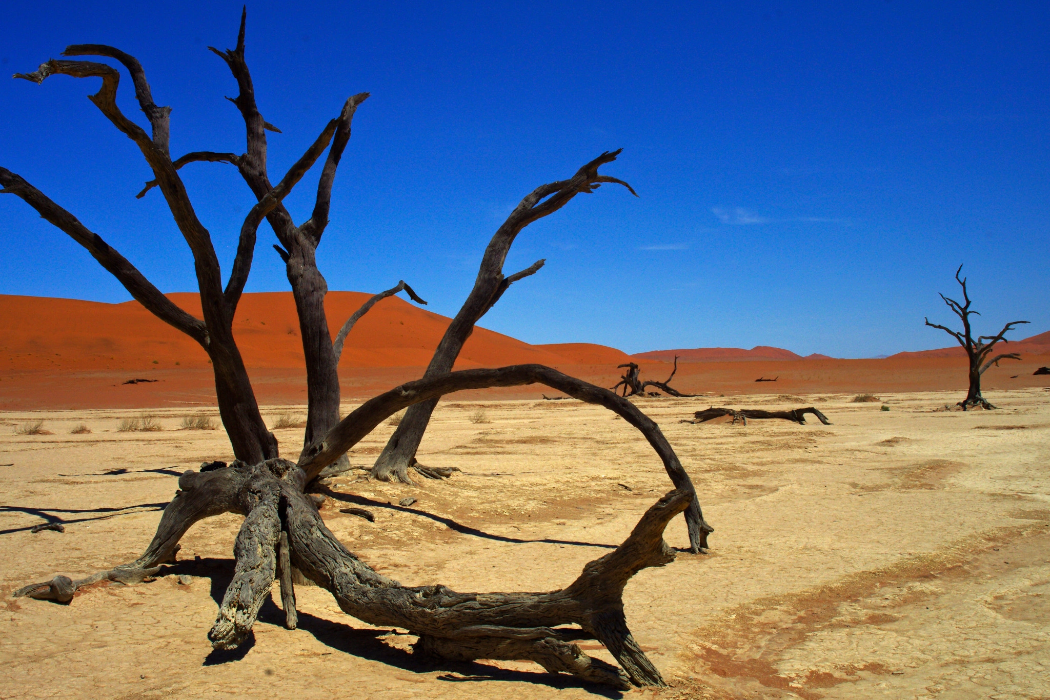 Namib / Dead Vlei
