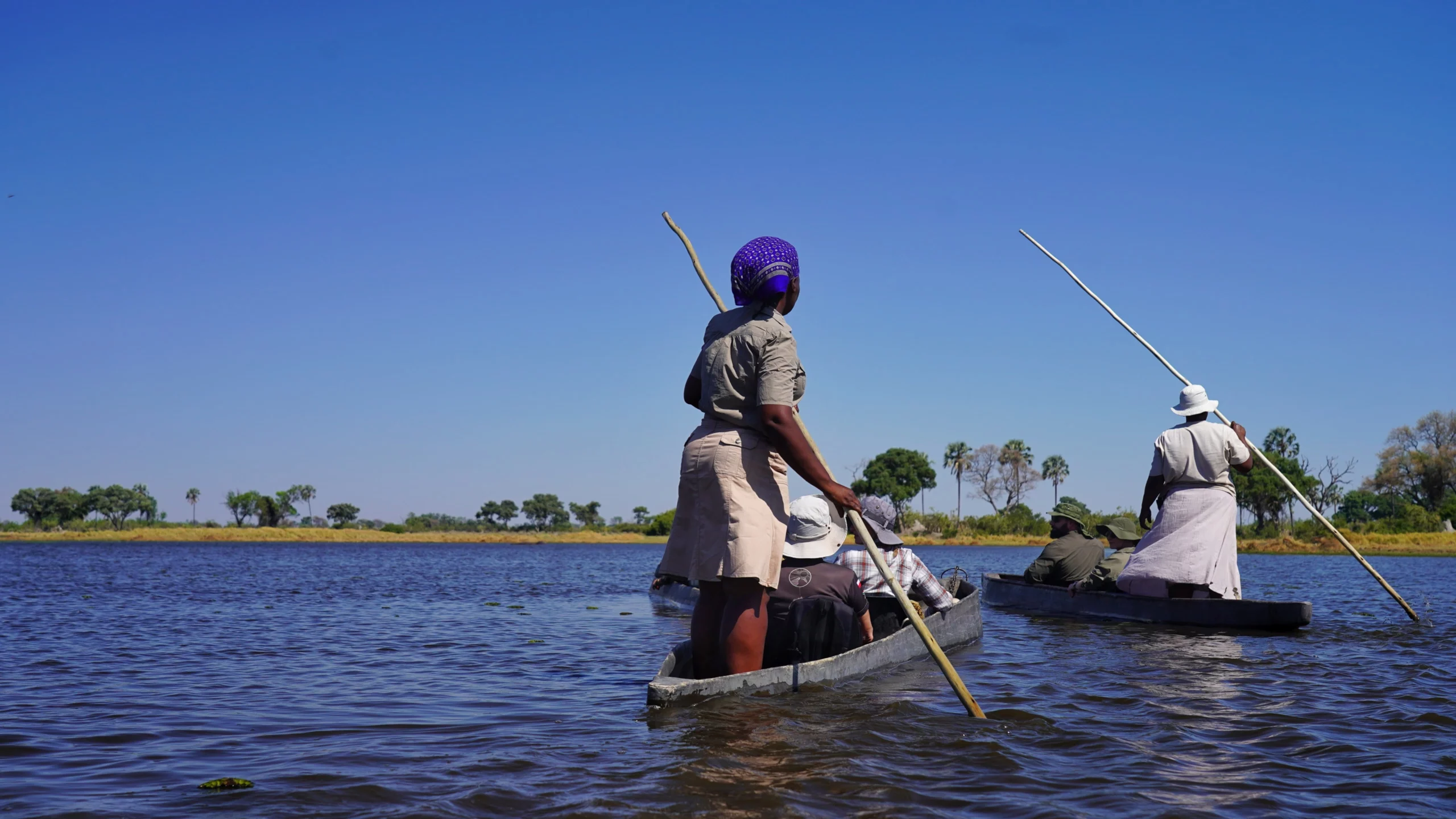 Delta rzeki Okawango