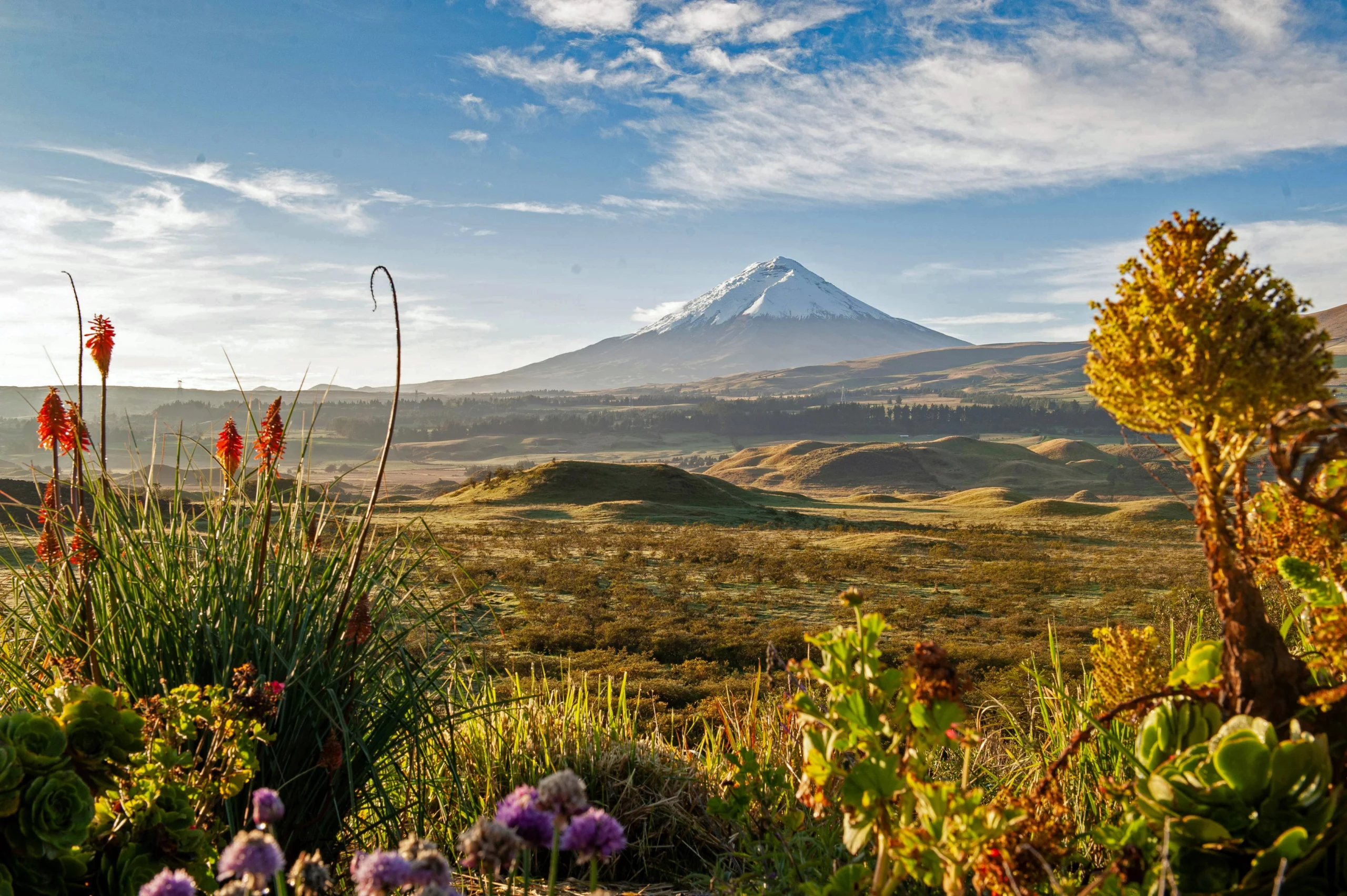 Quilotoa i aleja wulkanów